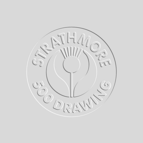 Strathmore 500 Drawing paper 163g, 56x76cm sheets